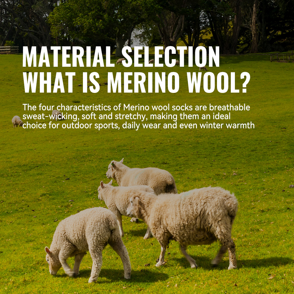 WRELS 1/2/3 メリノウールソックス サーマルウォー - Wool Hiking Sock のレビューと価格